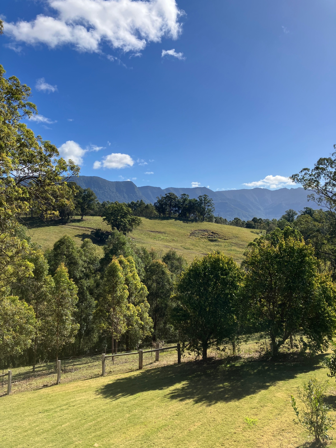 Rolling green hills of the Northern Rivers with mountains in the distance